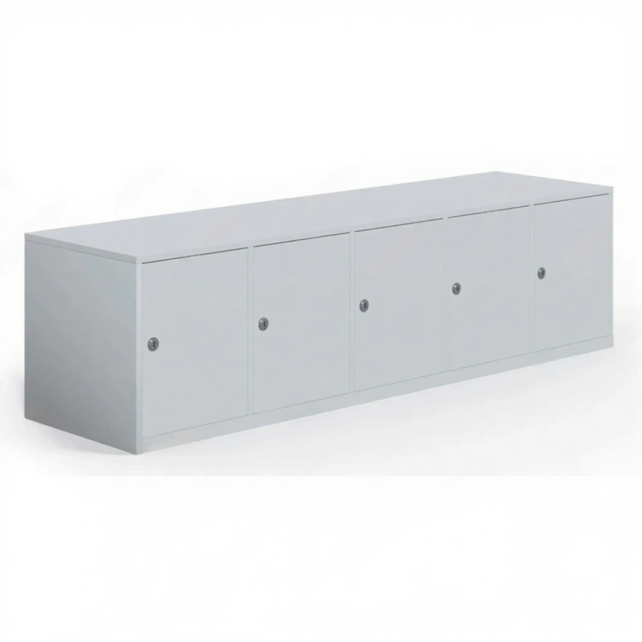 Шкаф для сумок на 5 ячеек (400х1500х400)